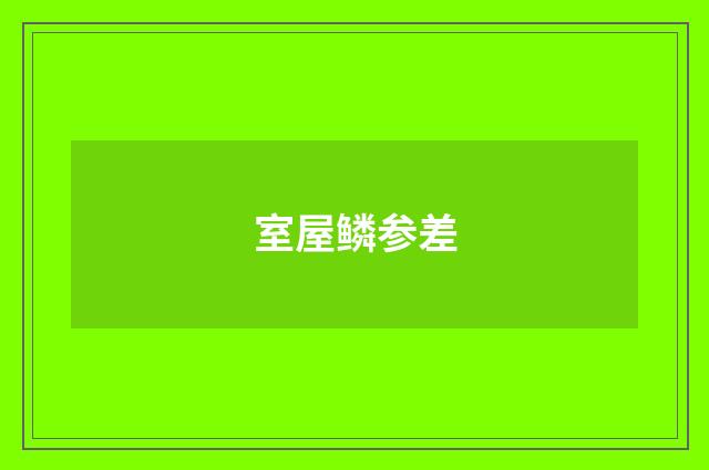 室屋鳞参差