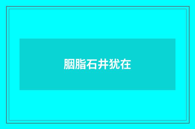 胭脂石井犹在
