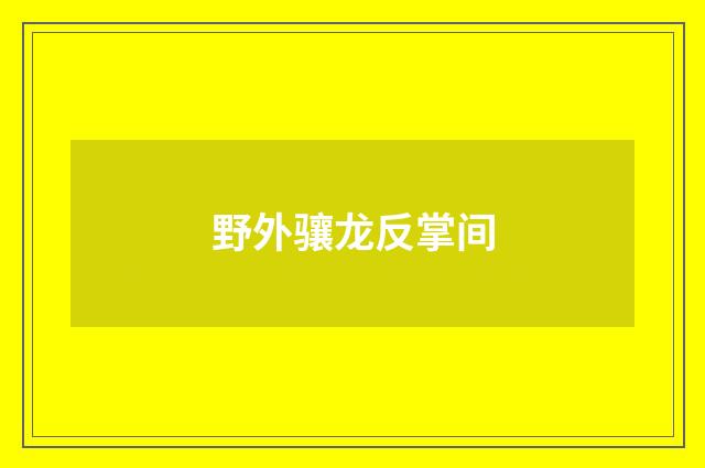 野外骧龙反掌间