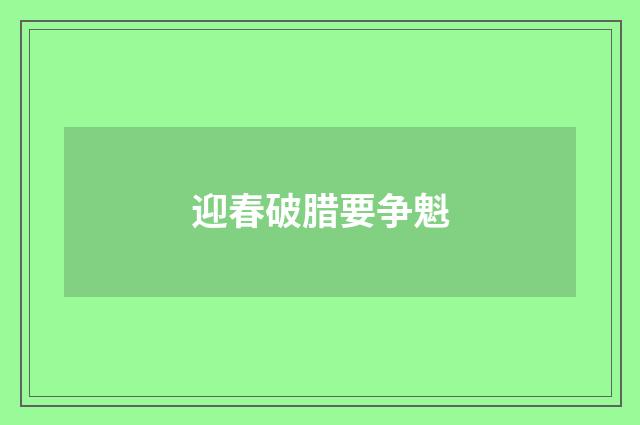 迎春破腊要争魁