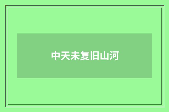 中天未复旧山河