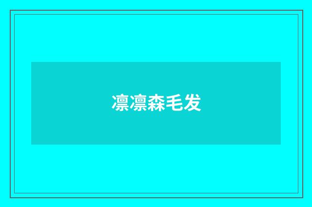凛凛森毛发
