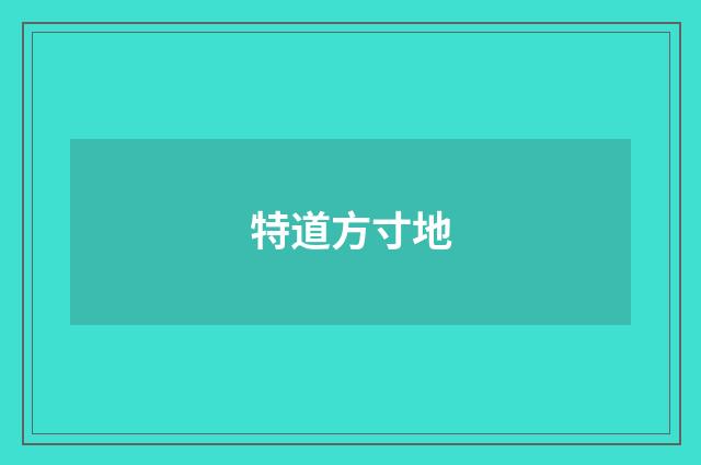 特道方寸地
