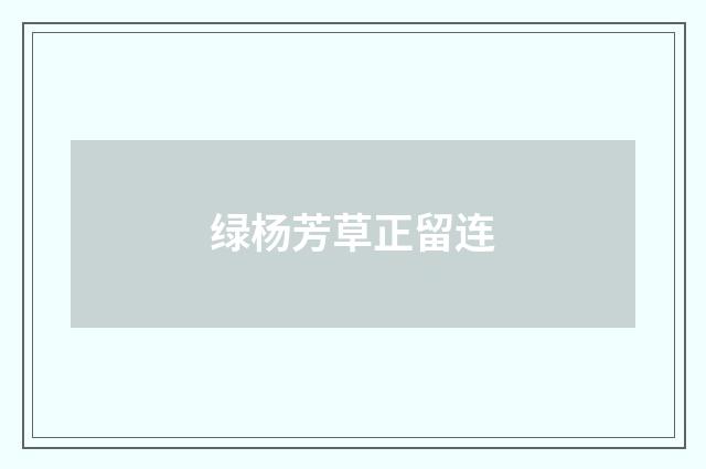 绿杨芳草正留连