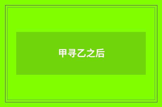 甲寻乙之后