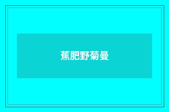 蕉肥野菊曼