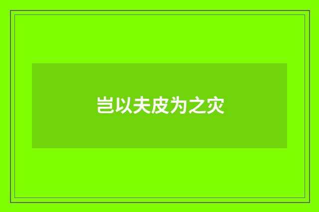 岂以夫皮为之灾