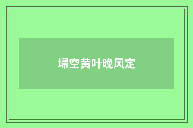 埽空黄叶晚风定
