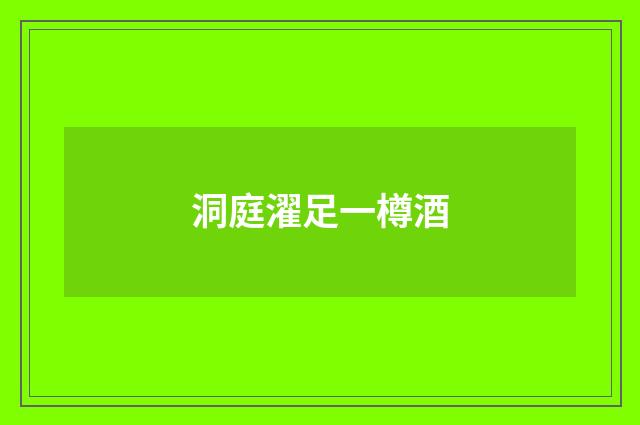 洞庭濯足一樽酒