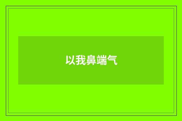 以我鼻端气