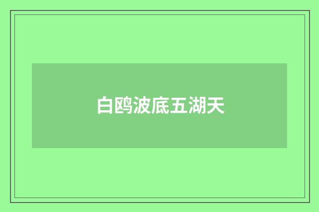 白鸥波底五湖天