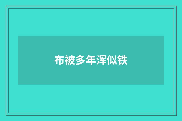 布被多年浑似铁