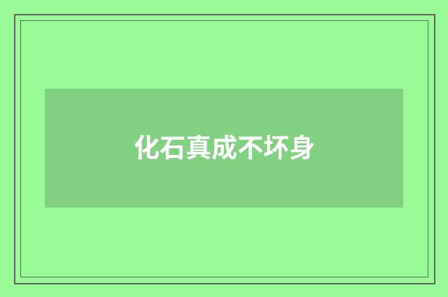化石真成不坏身