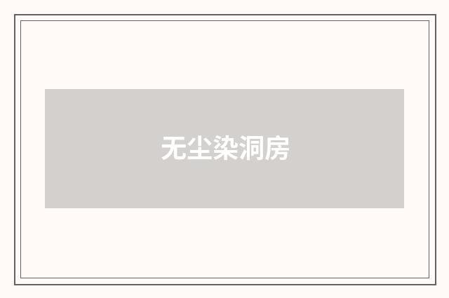 无尘染洞房