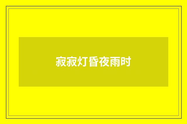 寂寂灯昏夜雨时