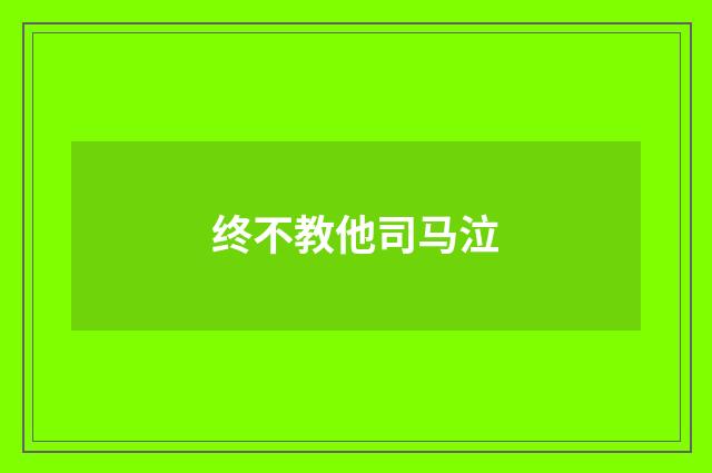 终不教他司马泣