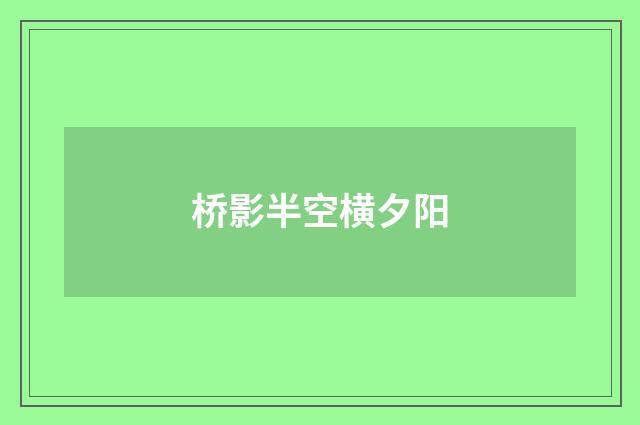 桥影半空横夕阳