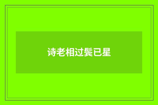 诗老相过鬓已星
