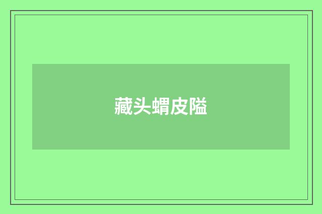 藏头蝟皮隘