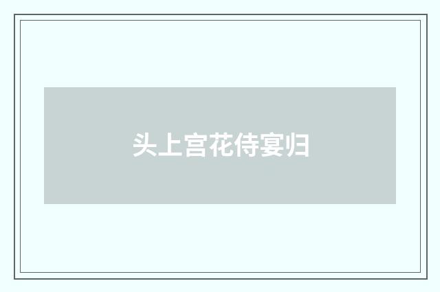 头上宫花侍宴归