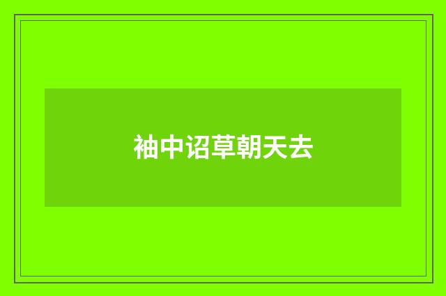 袖中诏草朝天去