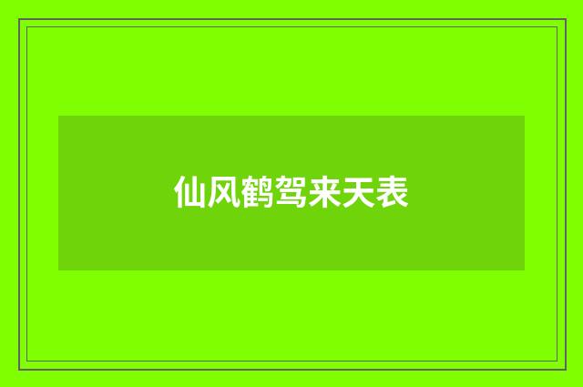 仙风鹤驾来天表