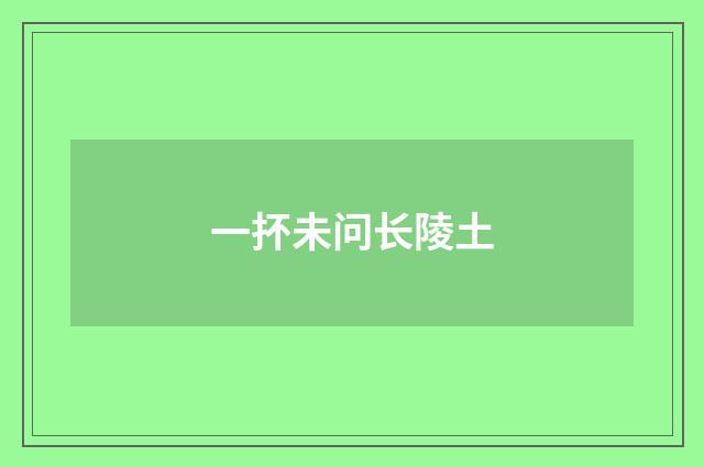 一抔未问长陵土