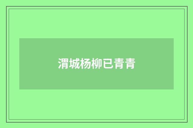 渭城杨柳已青青