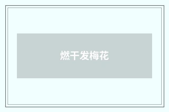 燃干发梅花
