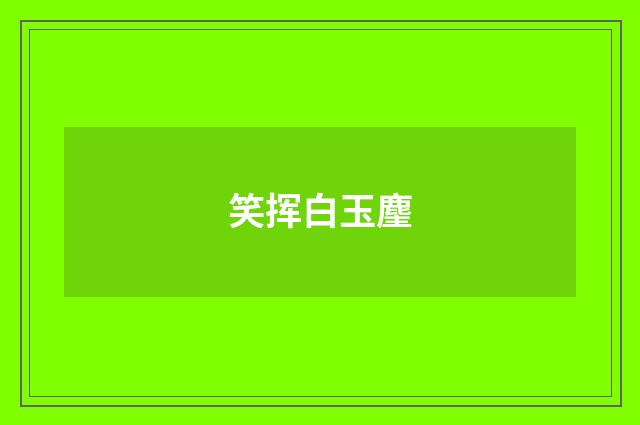 笑挥白玉麈