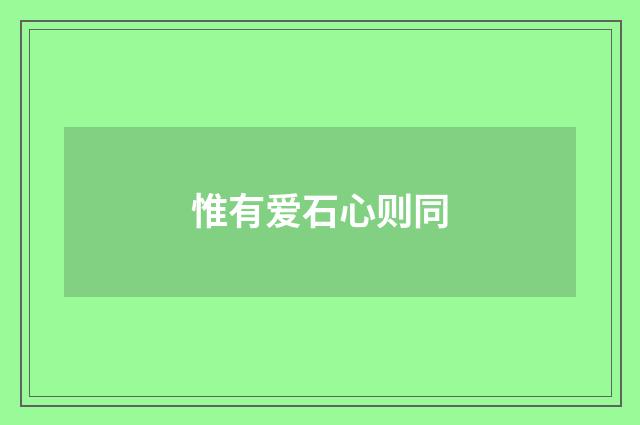 惟有爱石心则同