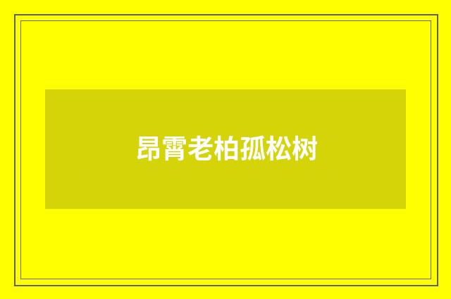 昂霄老柏孤松树
