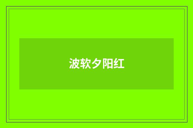 波软夕阳红