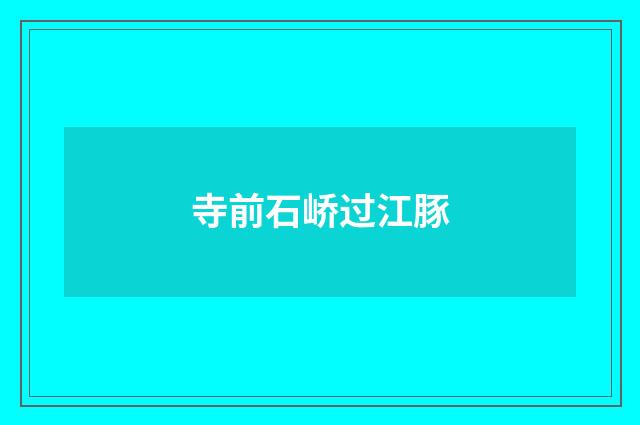 寺前石峤过江豚