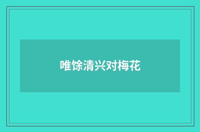 唯馀清兴对梅花