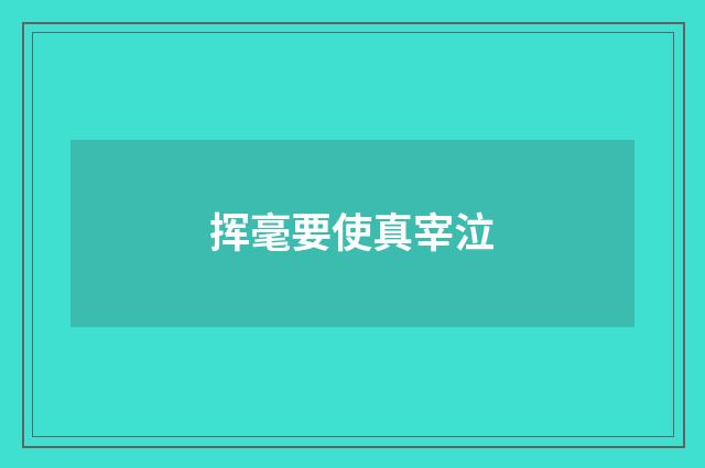 挥毫要使真宰泣