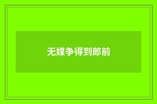 无媒争得到郎前