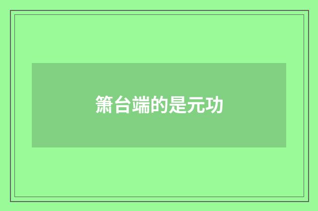 箫台端的是元功