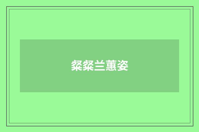 粲粲兰蕙姿