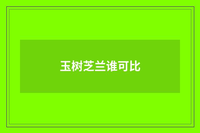 玉树芝兰谁可比