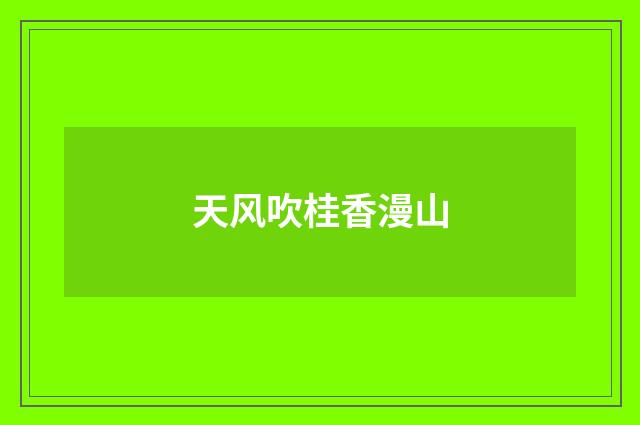 天风吹桂香漫山