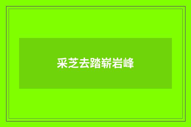采芝去踏崭岩峰