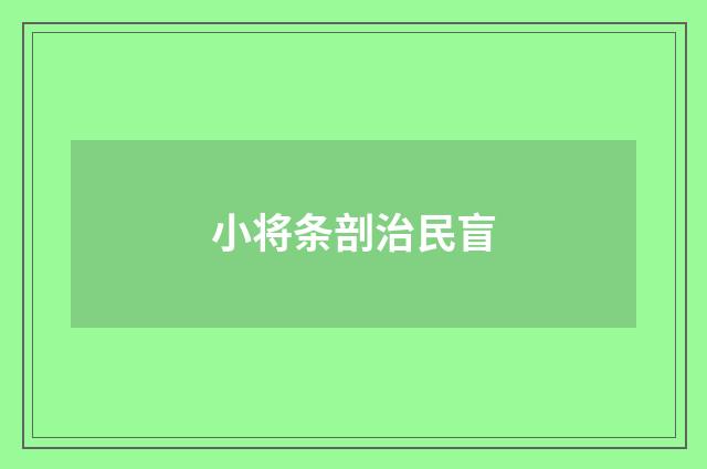 小将条剖治民盲