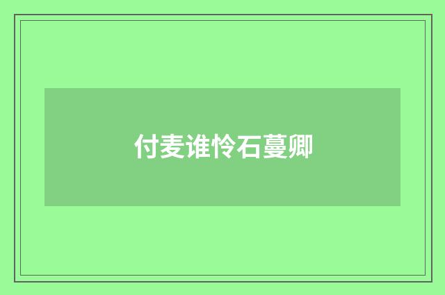 付麦谁怜石蔓卿