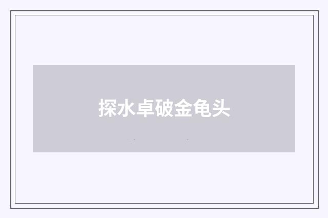 探水卓破金龟头