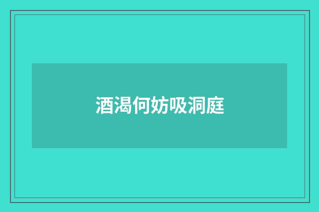 酒渴何妨吸洞庭