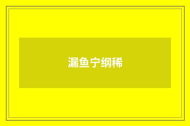 漏鱼宁纲稀