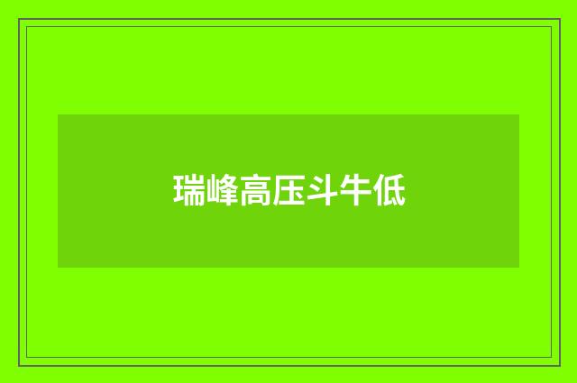 瑞峰高压斗牛低