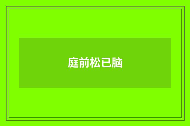 庭前松已脑