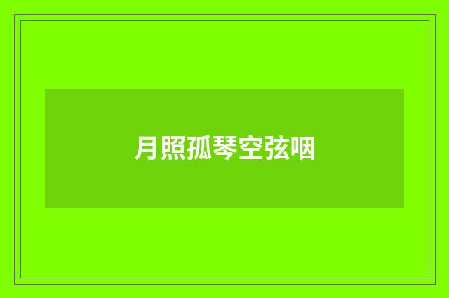 月照孤琴空弦咽